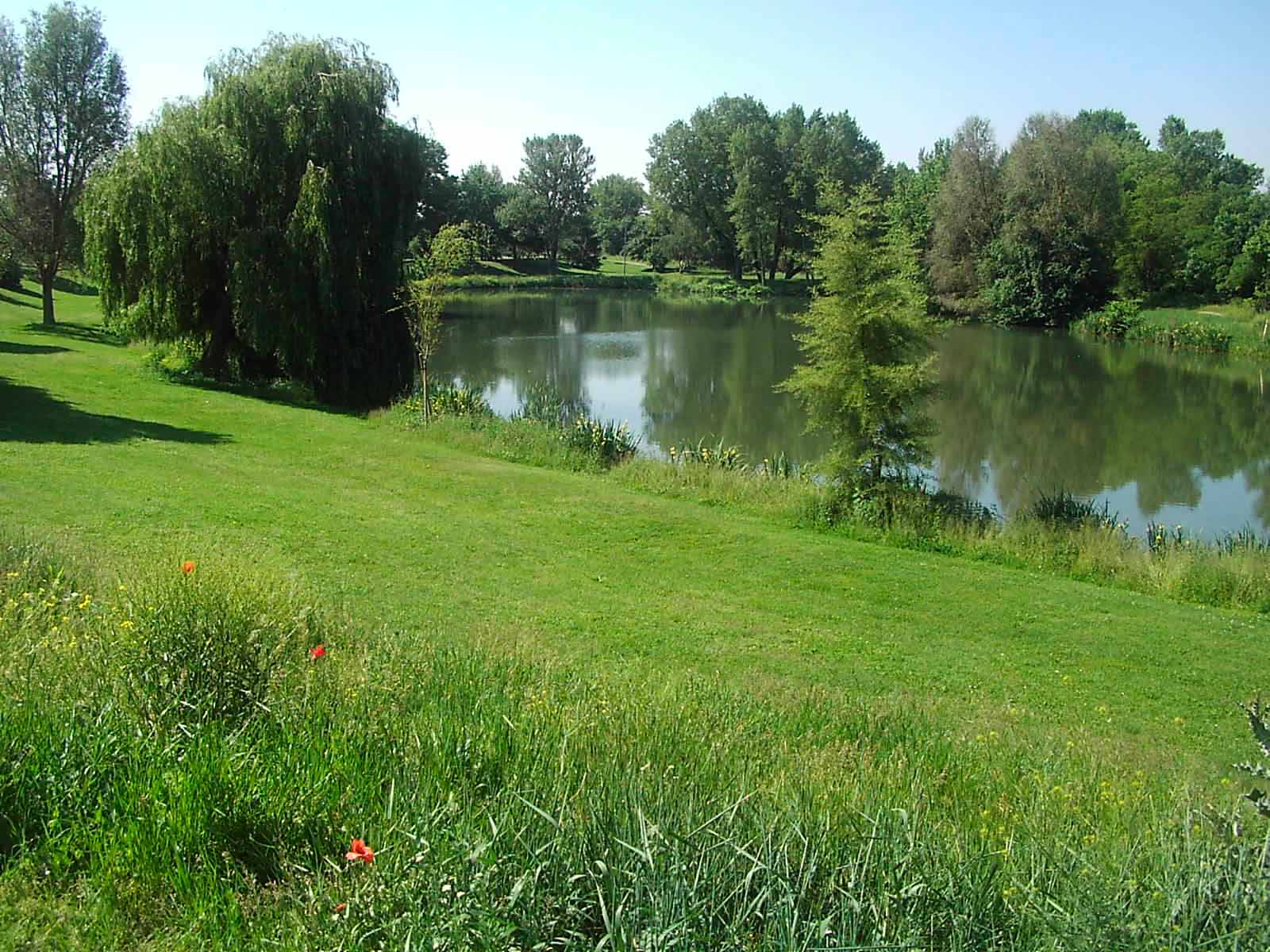 vue de l'étang du Parc de l'Eiblen