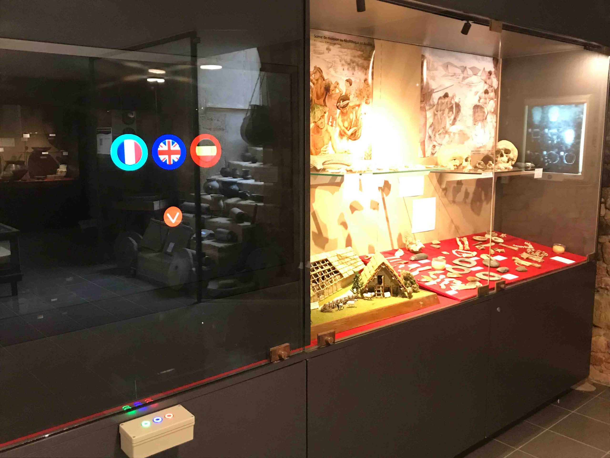 Section archéologique du musée de la Régence, ossements et divers objets provenant de fouilles à Ensisheim