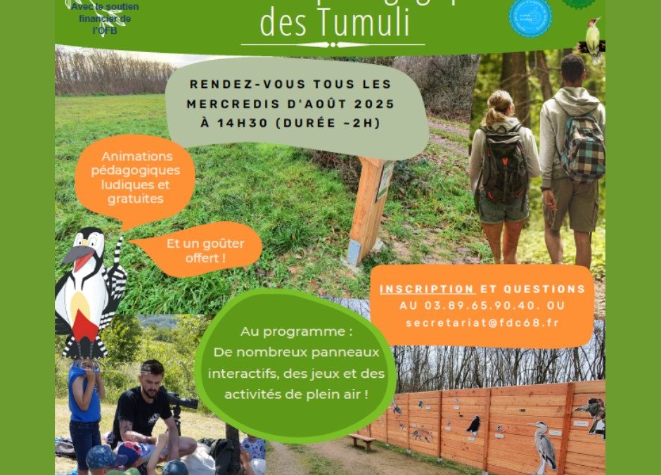 Animations sur le sentier des Tumuli
